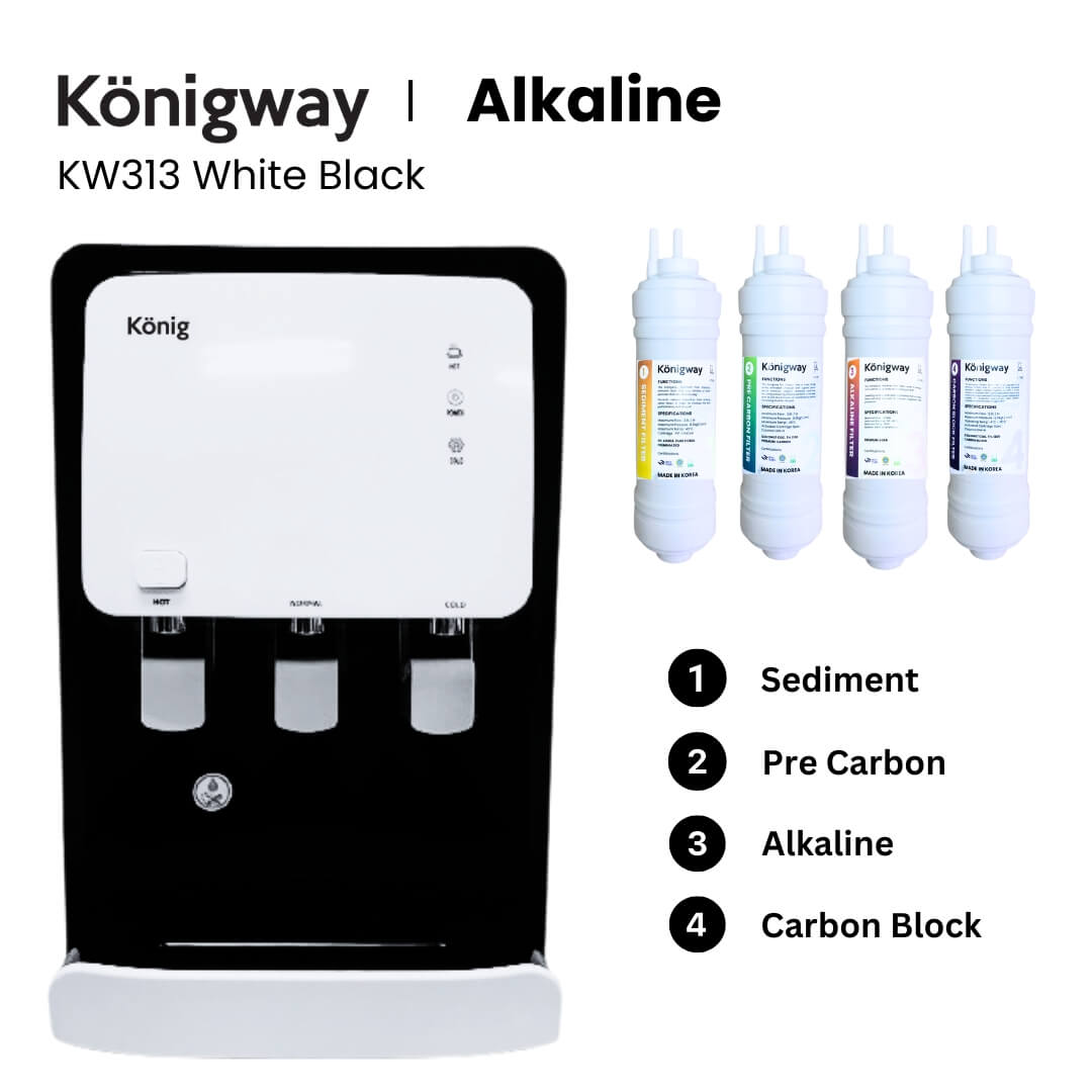 KW313 WHITE BLACK