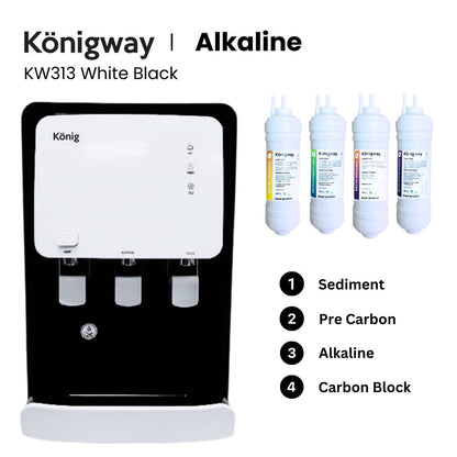 KW313 WHITE BLACK