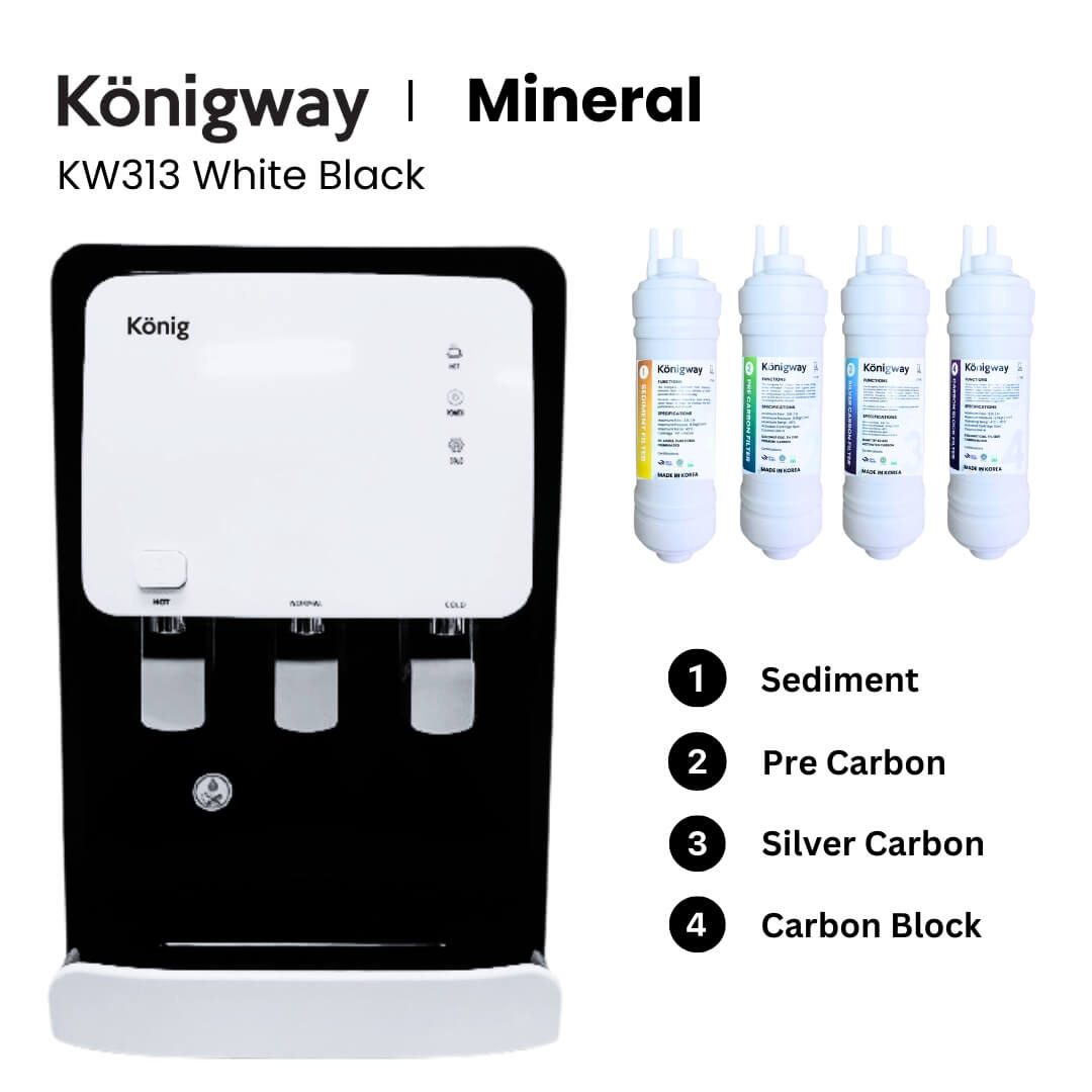 KW313 WHITE BLACK